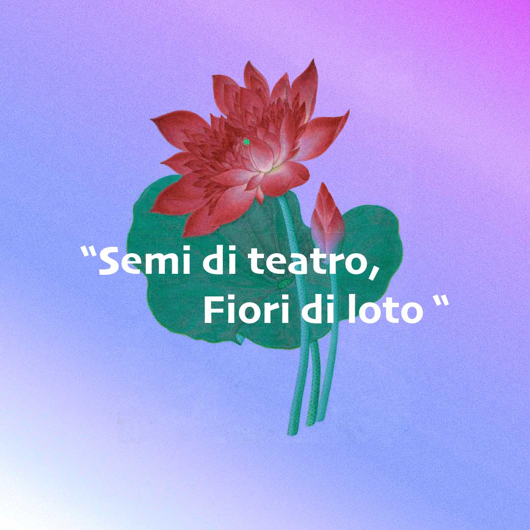 Read more about the article Semi di Teatro, Fiori di Loto